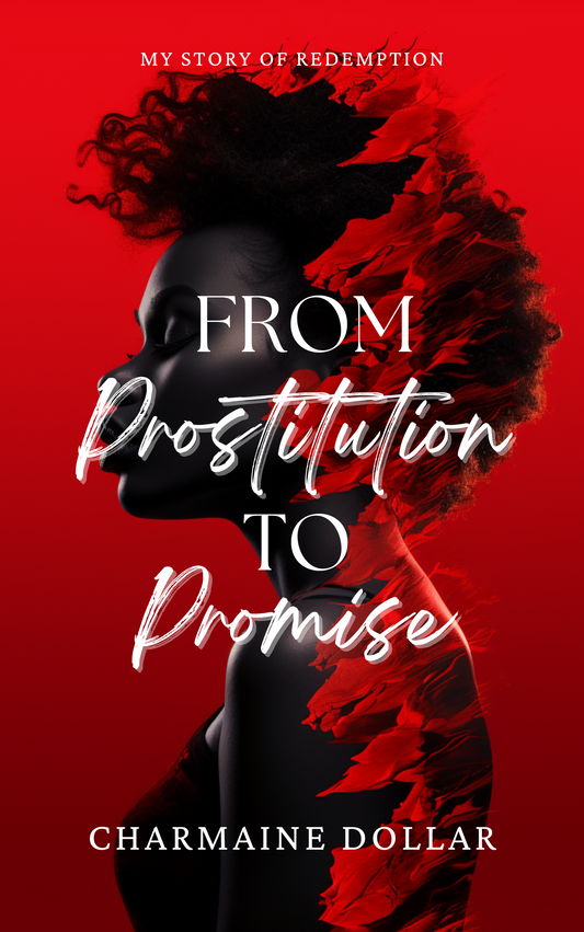 From Prostitution To Promise Paperback